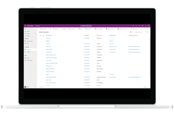 SmartCRM accounts