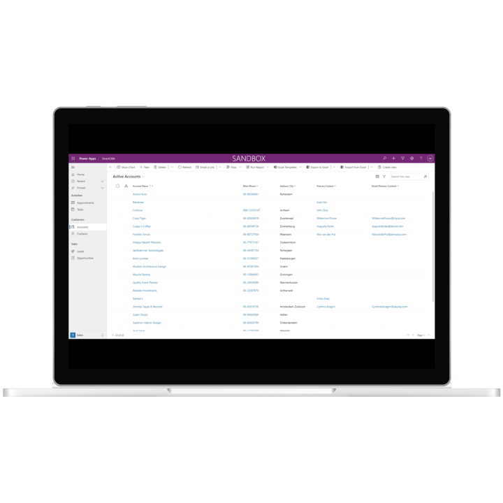 SmartCRM accounts